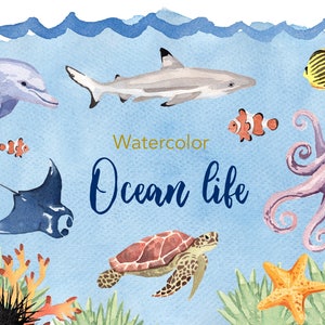 WATERCOLOR CLIPART, ocean life clipart, watercolour clipart set, commercial use, png files, dolphin clip art, sea, png, digital, nursery