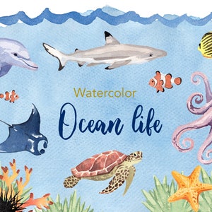 AQUARELL Clipart, Ozean Leben Clipart, Aquarell Clipart Set, kommerzielle Nutzung, png Dateien, Delfin Clip Art, Meer, png, digital, Kinderzimmer