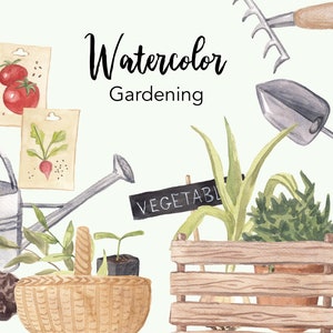 WATERCOLOR CLIPART, gardening tools, gardening, plants, instant download, digital png images, garden equipment, cottage rustic