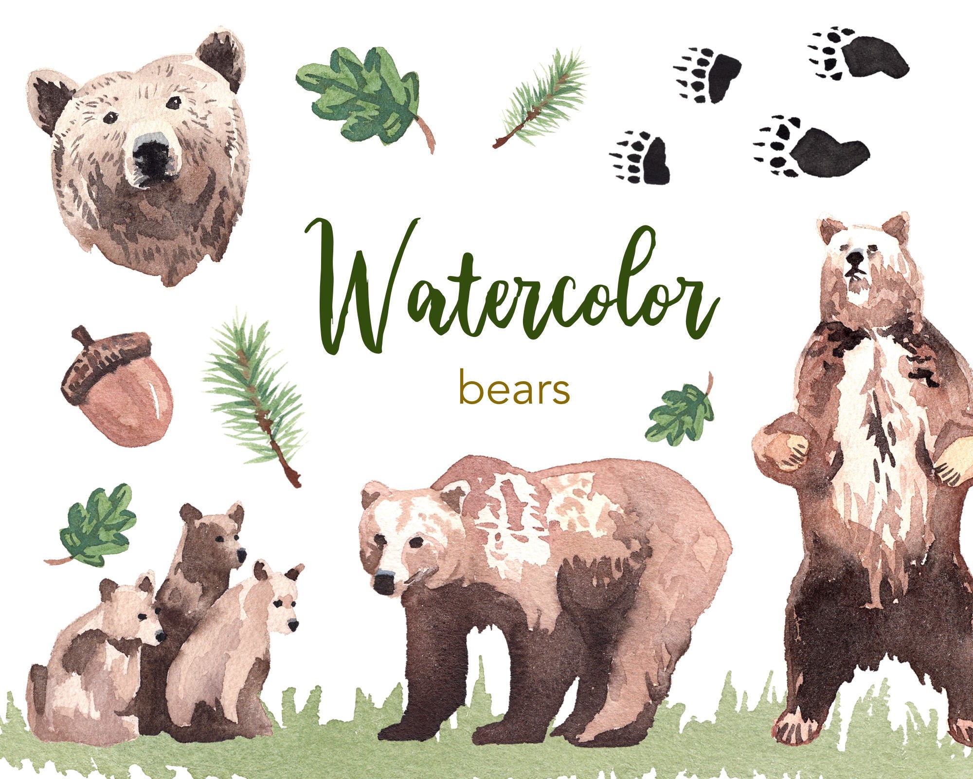WATERCOLOR CLIPART Bear Clipart Watercolour Set
