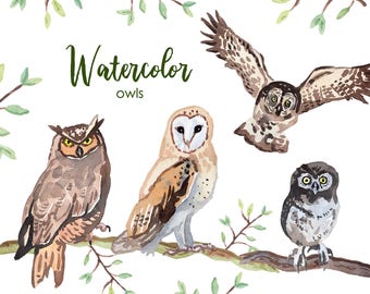 Imágenes prediseñadas de búhos en acuarela, gráficos de animales del bosque (archivos PNG)