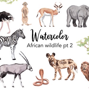WATERCOLOR CLIPART, clipart africana, savana, clip art di scrapbooking safari, animali, ostridge leone, grafica png, illustrazione ad acquerello