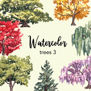 WATERCOLOR CLIPART, clipart albero, clipart albero acquerello, bosco clipart png, clipart pino, clipart set, clipart foresta, album di ritagli