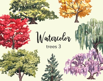 Watercolor Tree Clipart Set, Woodland Scrapbook Graphics (PNG)