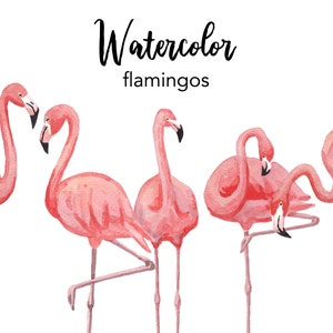 WATERCOLOR CLIPART, flamingo clipart, set, commercial use, png flamingos, birds clip art, tropical, png, digital, commercial use, animals