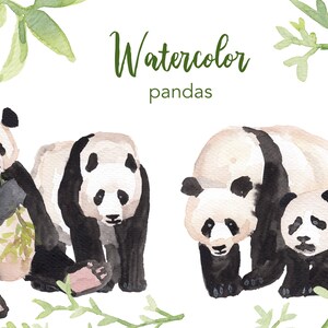 CLIPART DE AGUARELA, clipart de panda, conjunto de clipart em aquarela, uso comercial, arquivos png, clipart de urso de bambu, floresta, png, digital, berçário