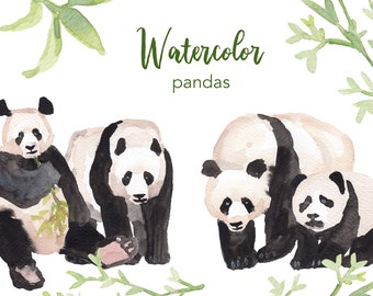 WATERCOLOR CLIPART, panda clipart, watercolour clipart set, commercial use, png files, bamboo bear clip art, woodland, png, digital, nursery