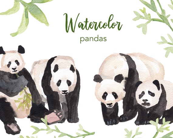 Watercolor Panda Clipart Set, Bamboo Bear, Nursery Art (PNG Files)