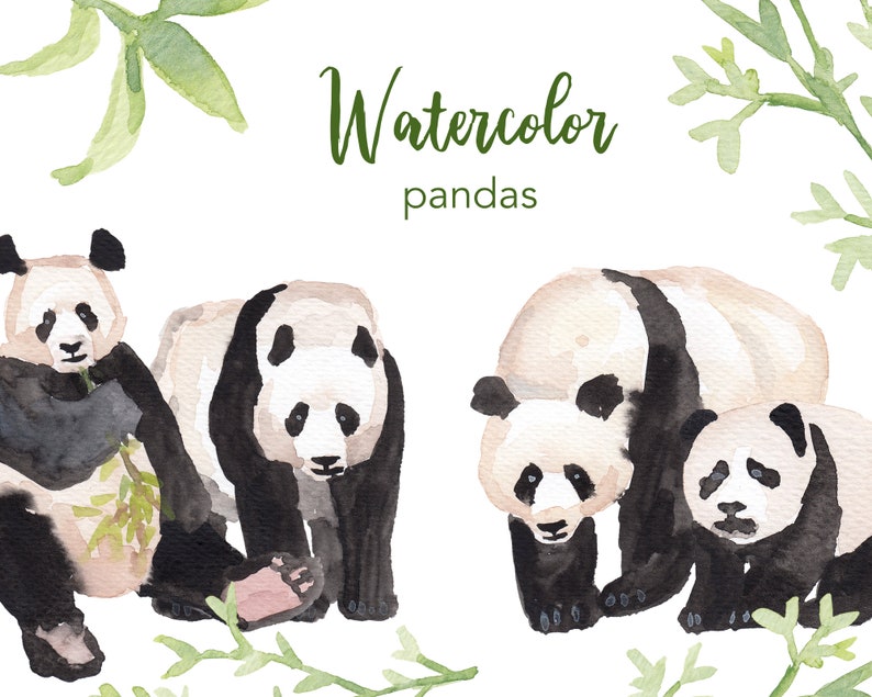 May include: Watercolor painting of four pandas, two standing and two sitting, with green bamboo leaves in the background. The text "Watercolor pandas" is written above the pandas.