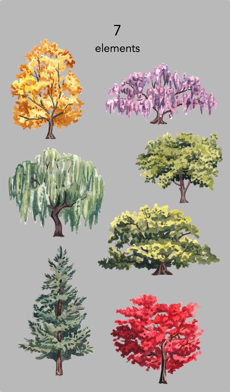 May include: Seven watercolor illustrations of different types of trees. The trees are depicted in various colors, including yellow, green, purple, and red. The illustrations are labeled "7 elements".