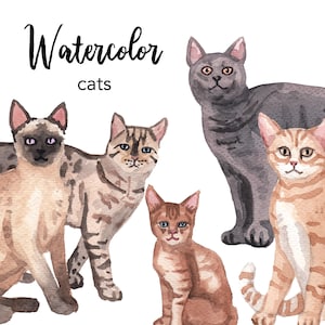 WATERCOLOR CLIPART, cat clipart, watercolour clipart set, commercial use, png files, animal clip art, pets png, digital, nursery, cats