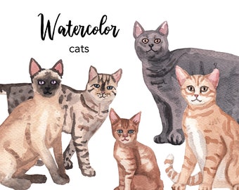 WATERCOLOR CLIPART, cat clipart, watercolour clipart set, commercial use, png files, animal clip art, pets png, digital, nursery, cats