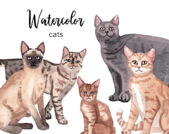 May include: Watercolor painting of five cats in different poses. The cats are a Siamese, a tabby, a grey cat, a ginger cat, and a calico cat. The painting is titled "Watercolor cats".