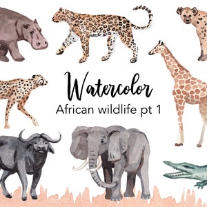 WATERCOLOR CLIPART, clipart animali zafari africani, set clipart acquerello, uso commerciale, file png, ClipArt, png, digitale