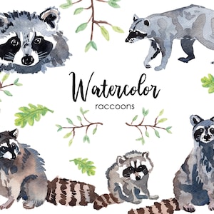 WATERCOLOR CLIPART, raccoon clipart, clip art, baby raccoon, digital download, png, woodland clipart, watercolour, commercial use, nursery