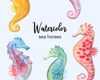 WATERCOLOR CLIPART, sea horses clipart, ocean beach summer vacation watercolour sea set, commercial use png files clip art, digital graphics