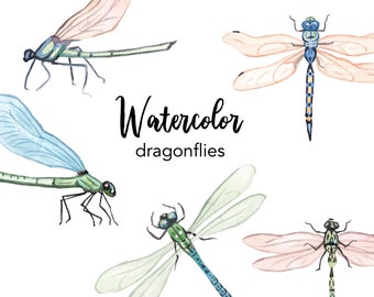 WATERCOLOR CLIPART, dragonflies clip art, commercial use, insects, drawings illustrations, nature, summer, graphics, png, decor, pastel