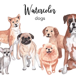 WATERCOLOR CLIPART, dog clipart, watercolour puppy clipart set, dogs commercial use, boxer png files, clip art, pets, png, digital, nursery