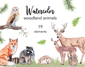 Conjunto de imágenes prediseñadas de animales del bosque en acuarela (archivos PNG)