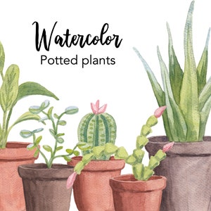 WATERCOLOR CLIPART, plantas en maceta, hojas prediseñadas, hoja png, gráficos de maceta, botánico, planta de cactus, uso comercial, ilustraciones digitales