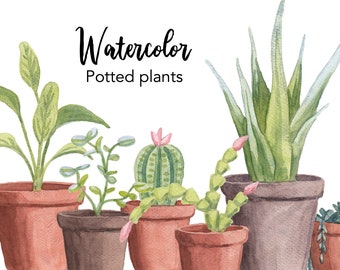 Watercolor Potted Plants Clipart, Botanical Illustrations (Digital Download)
