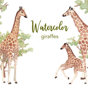 Aquarel giraffe clipartset, babydieren (PNG-bestanden)