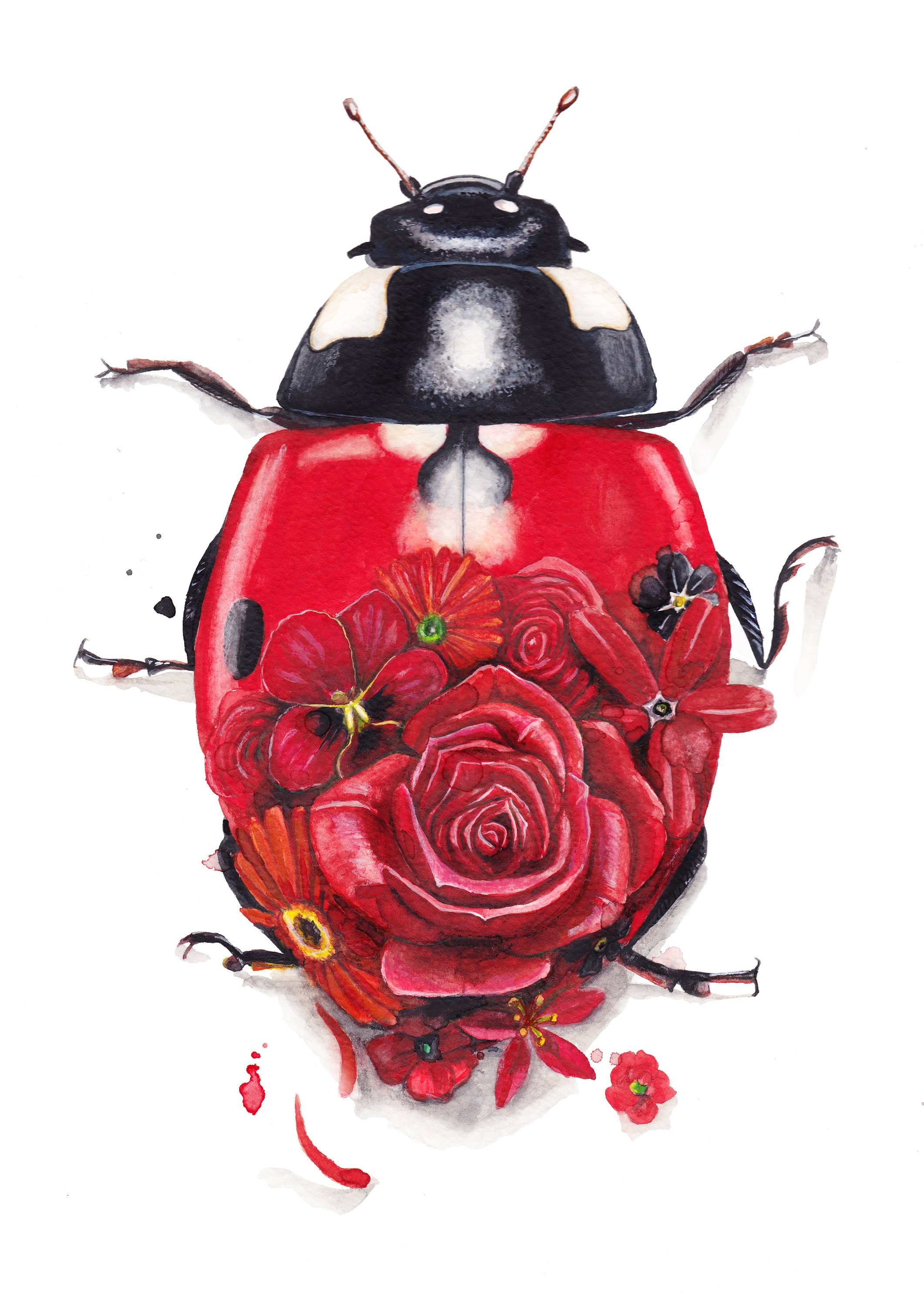 Kunstdruck Marienkäfer Aquarellmalerei handsigniert Malerei | Etsy