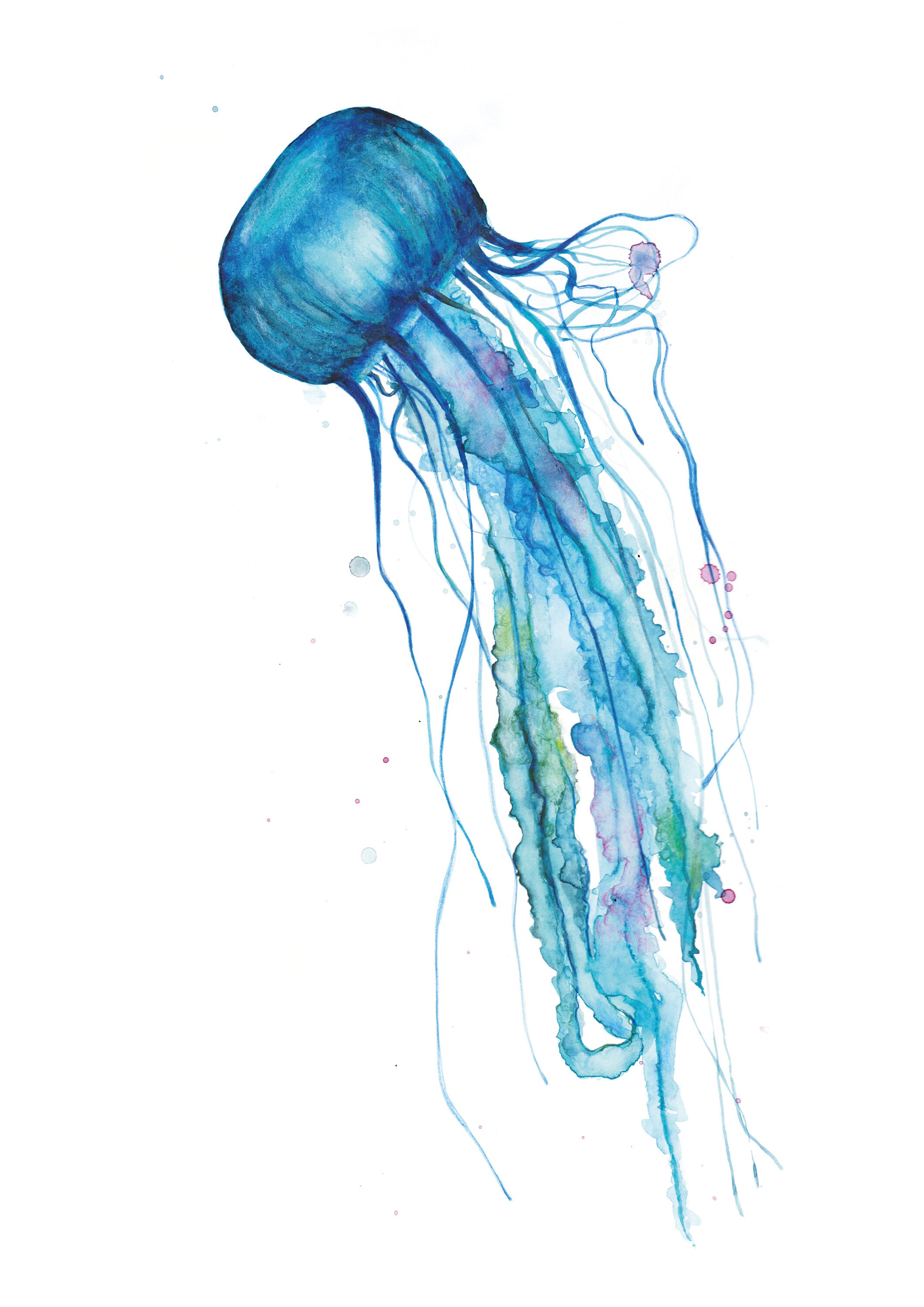Art print jellyfish watercolor painting signed painting Etsy