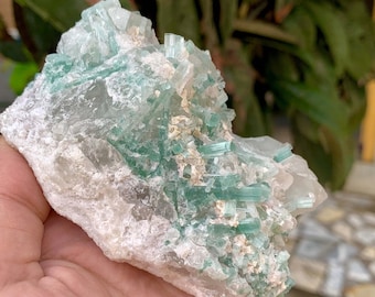 Top Quality Perfect Paraiba Tourmaline bunch with quartz specimen from Afghanistan