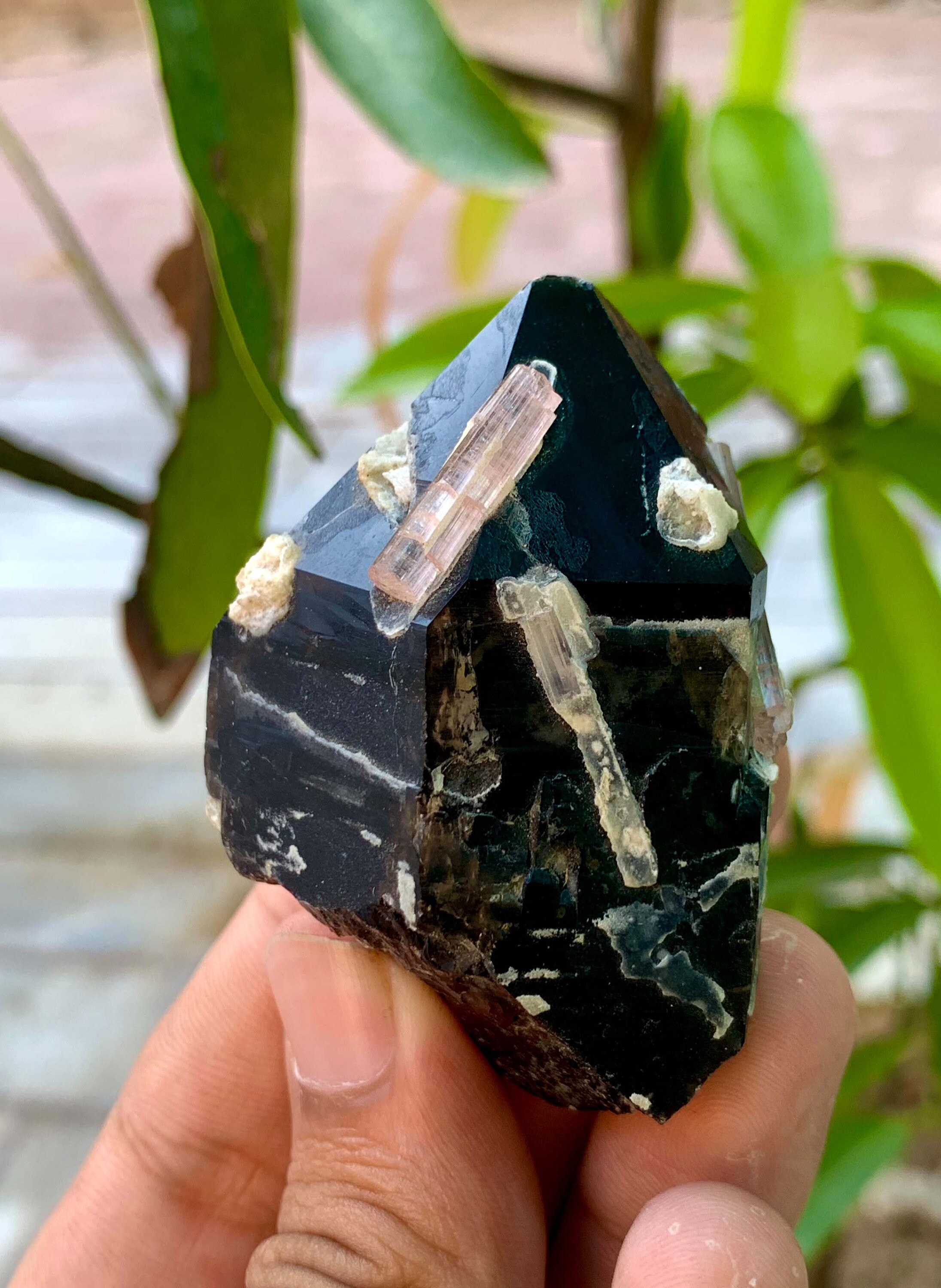 天然ピンクトルマリン結晶スモーキークォーツ結晶複合標本スカルドゥ