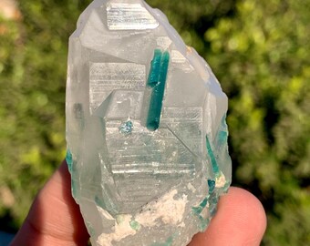 Indicolite Tourmaline with Quartz Combined Specimen, Blue Tourmaline Crystal , Tourmaline Bunch On Quartz - 91 GRAM