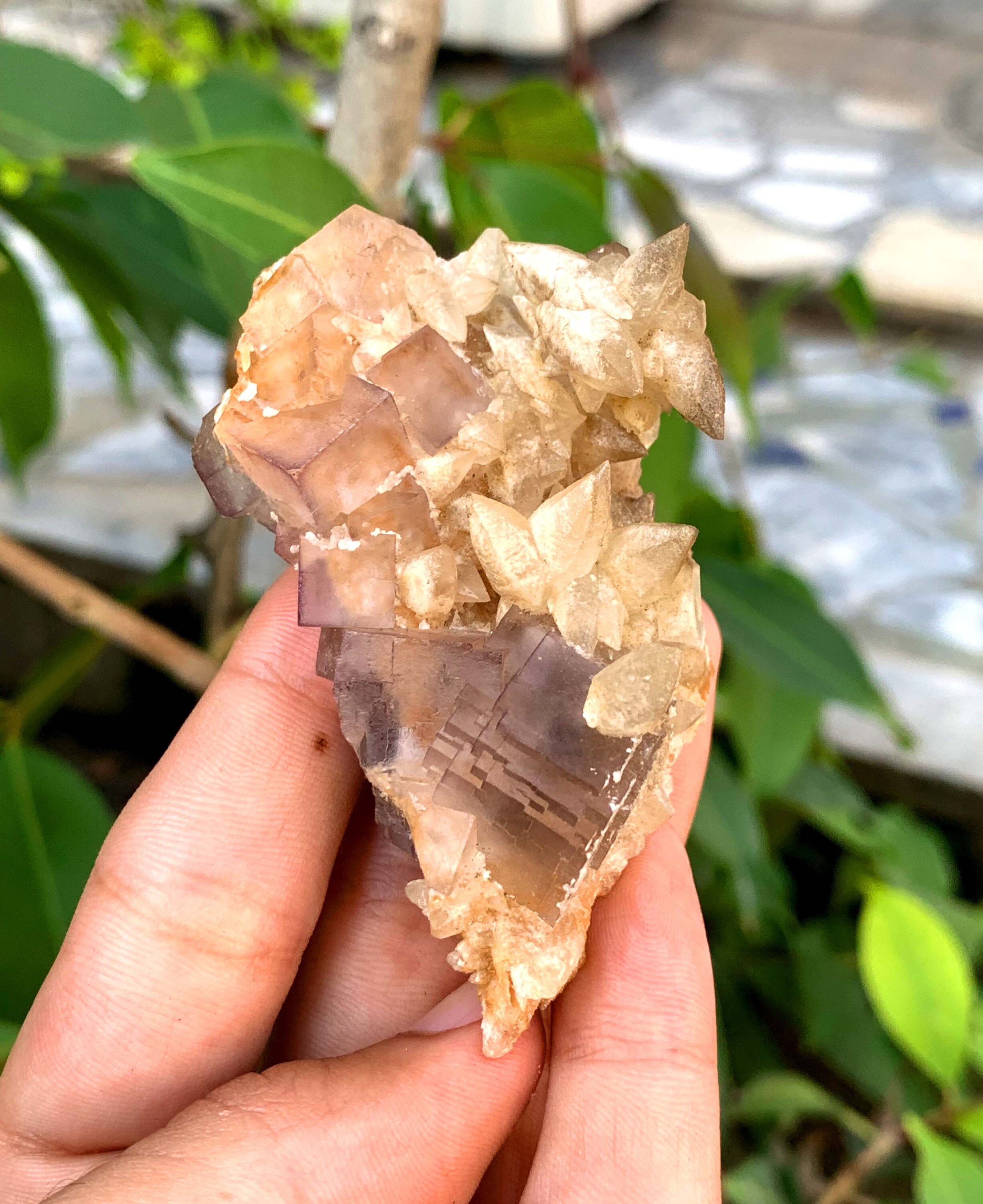 黄色の方解石結晶、幻の蛍石コレクションが付いている紫色の立方晶石の