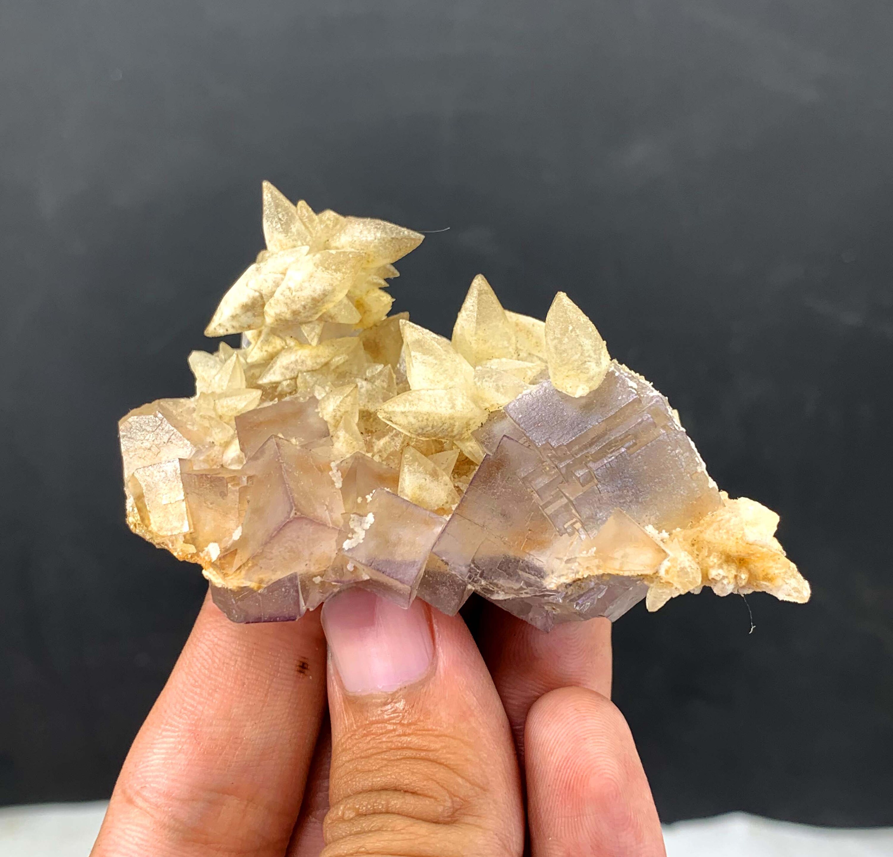 黄色の方解石結晶、幻の蛍石コレクションが付いている紫色の立方晶石の