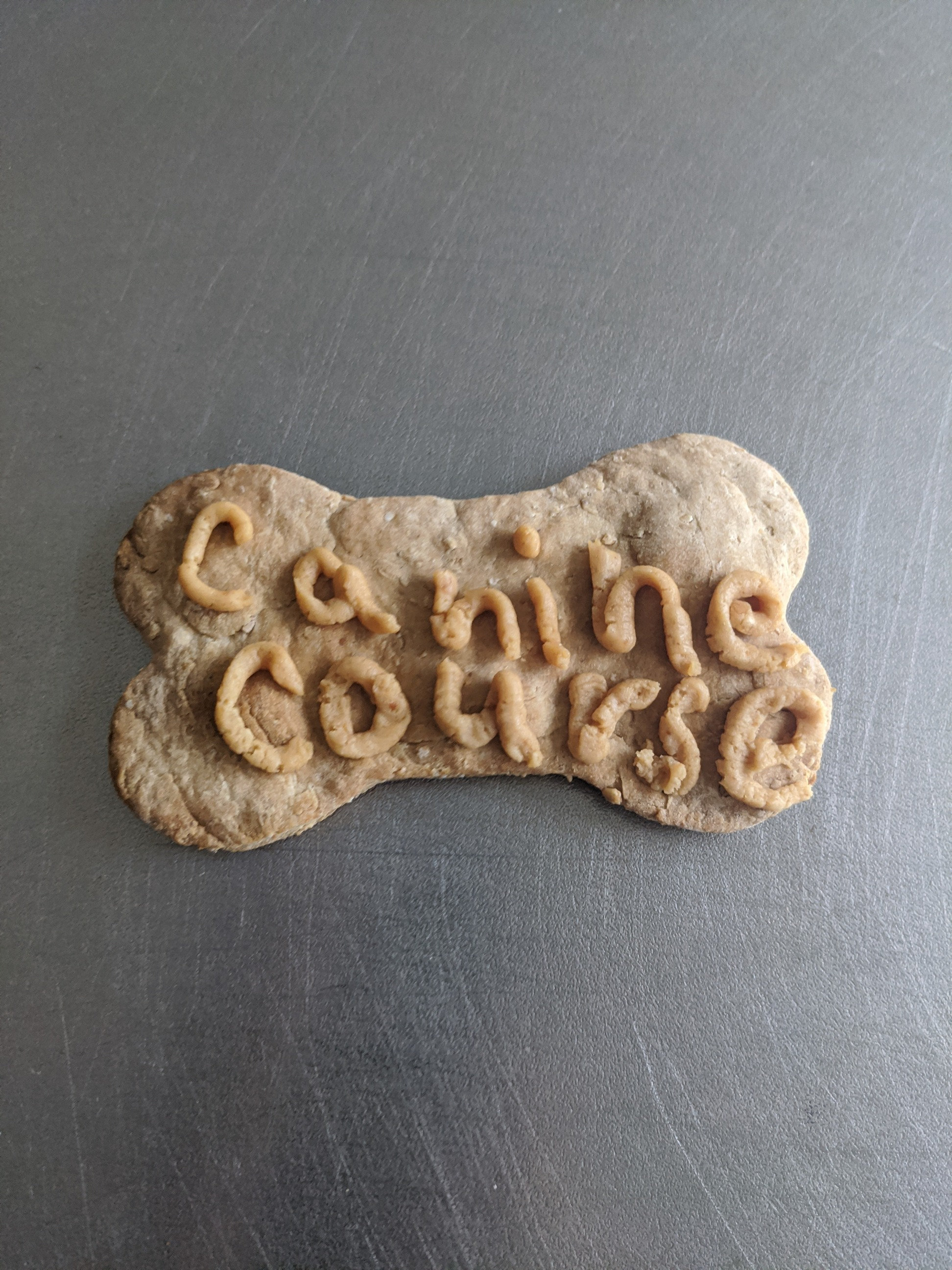 DIY Dog Treat Baking Kit Canine Course Original Bone Dog Treats Etsy Canada
