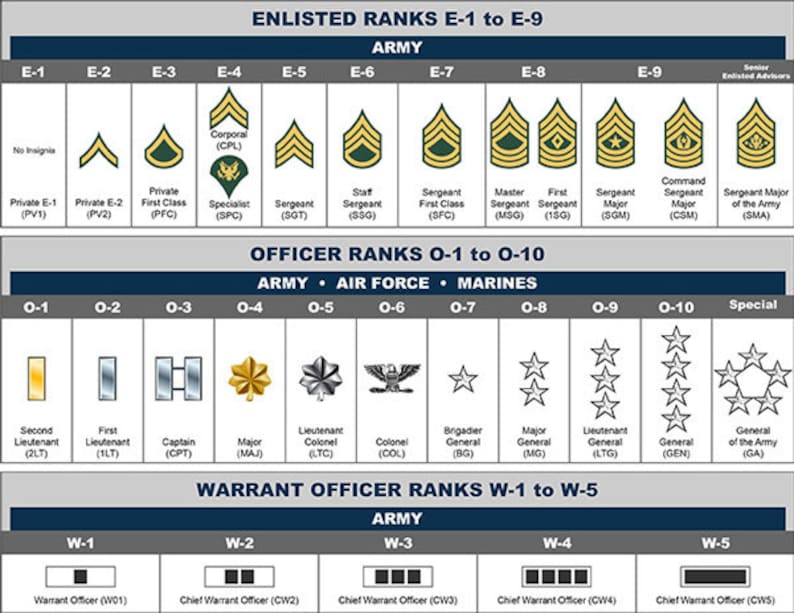 Rank w. Военные ранги США. Таблица воинских званий США. Воинские звания армии США. Система воинских званий в армии США.