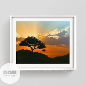 Può includere: Una silhouette di un albero su una collina con un cielo di tramonto sullo sfondo. Il cielo è un mix di arancione, giallo e blu con nuvole.