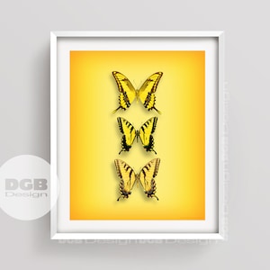 Yellow Butterfly Print, Beautiful Butterflies, PRINTABLE ART, Butterflies, Insect Print, Specimen Art, Nature Art,Garden Art,Yellow Decor