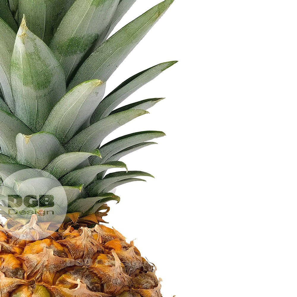 Pineapple PRINTABLE Art, Tropical Art Print, Best Pineapple, Palm Print, Pineapple Decor, Wall ...