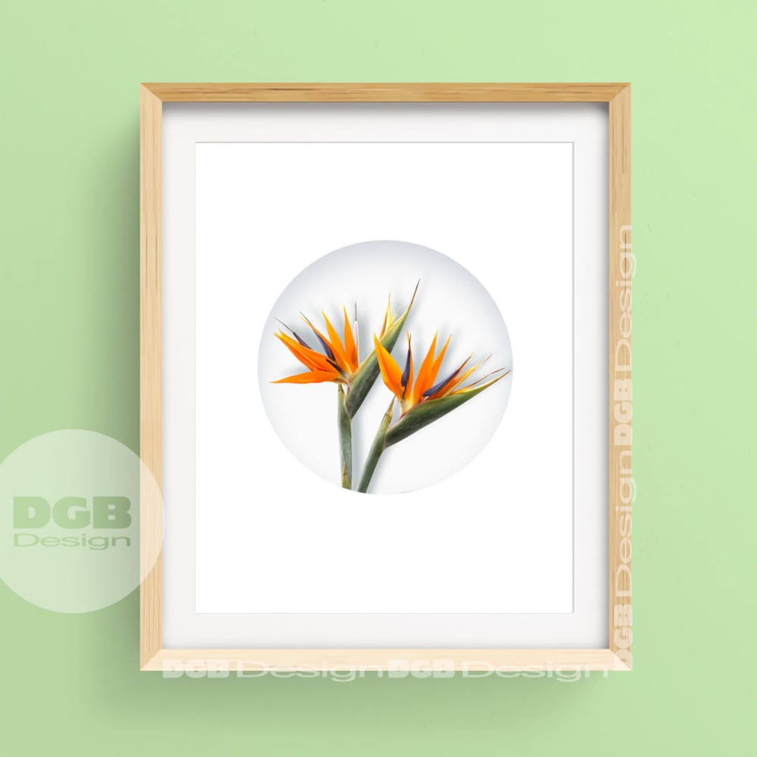 Tropical Bird of Paradise Print, PRINTABLE ART, Tropical Flowers, Bird ...