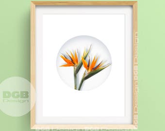 Tropical Bird of Paradise Print, PRINTABLE ART, Tropical Flowers,  Bird of Paradise Printable ,Tropical, Flower Art, Vignette, Wedding gift