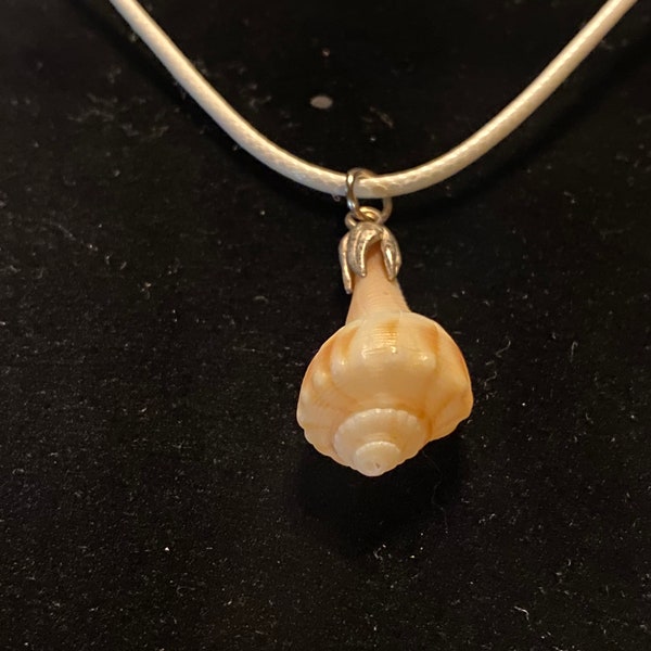 Necklace Seashell Pendant Summer Cowrie Whelk Quahog wire wrapped adjustable