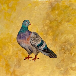 Pigeon Print