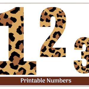 Leopard - Safari Numbers 0-9 Clip Art | Printable & Resizable Numbers | Banner - Bulletin Board - Scrapbooking - Sublimation Numbers