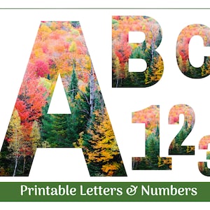 Fall Trees Alphabet Letter Clip Art | Digital Alphabet | Fall Banner & Bulletin Board Letters | Classroom Alphabet | Instant Download