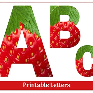 Strawberry Alphabet Clip Art Letters A-Z, Numbers 0-9 | Printable & Resizable Letters | Banner - Bulletin Board - Scrapbooking - Letters
