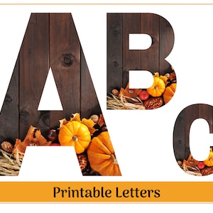 Fall Alphabet & Number Clip Art | Printable and Resizable Uppercase Letters | Banner and Bulletin Board Letters