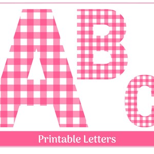 Pink Plaid Alphabet Clip Art Letters A-Z and Numbers 0-9 | Printable & Resizable Letters | Banner - Bulletin - Scrapbooking – Sublimation