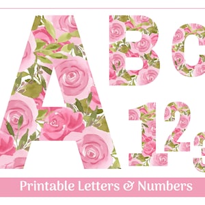 Letras del alfabeto rosa rosa de la A a la Z, Números 0 a 9, Tablón de anuncios, Pancarta, Álbum de recortes, Imágenes prediseñadas de sublimación, Descarga digital