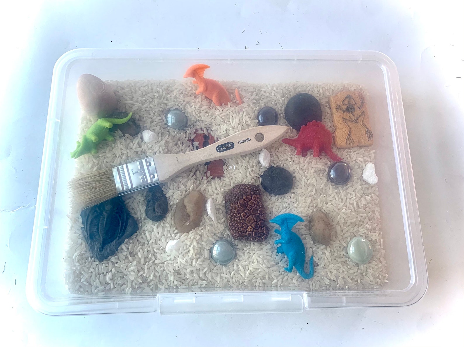 make your own fossil dig kit