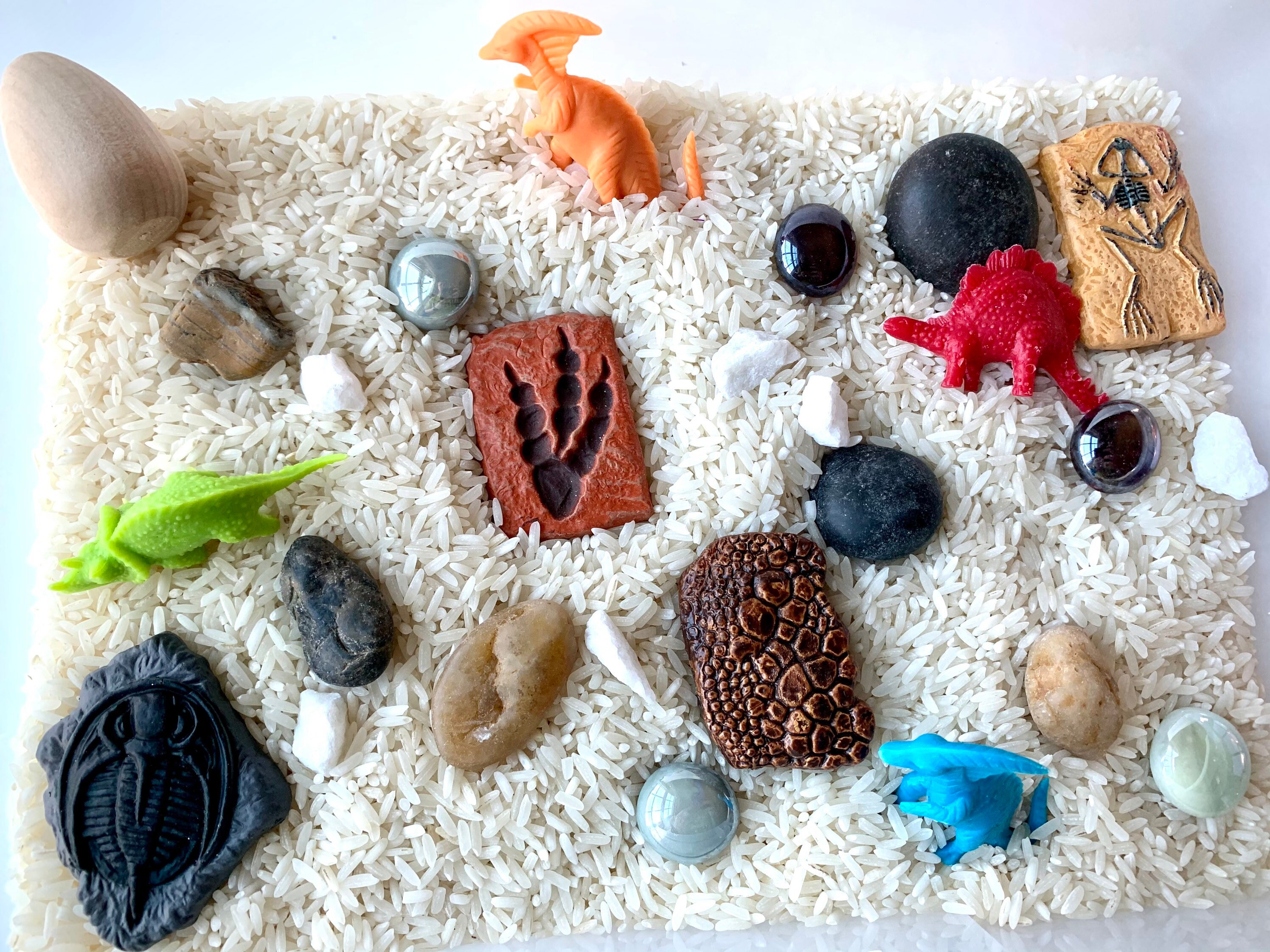 Dinosaur Sensory Bin Fossil Dig Kit Dinosaur Busy Bin Etsy